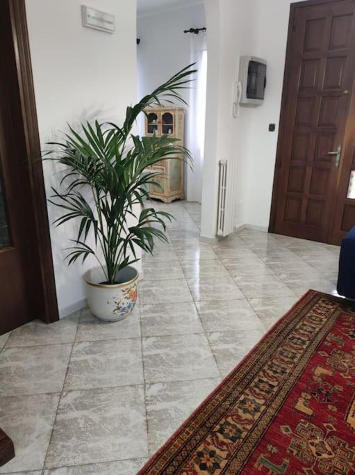 Casa Argia Villa Padova Eksteriør billede