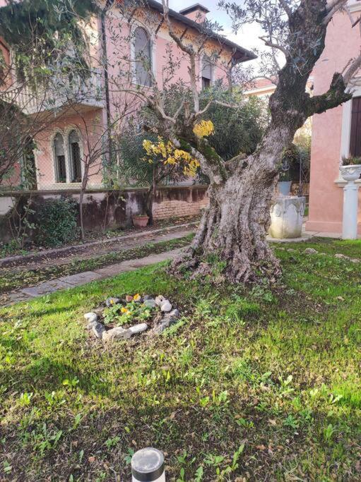 Casa Argia Villa Padova Eksteriør billede